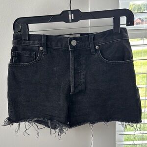 Everlane The Cheeky Short